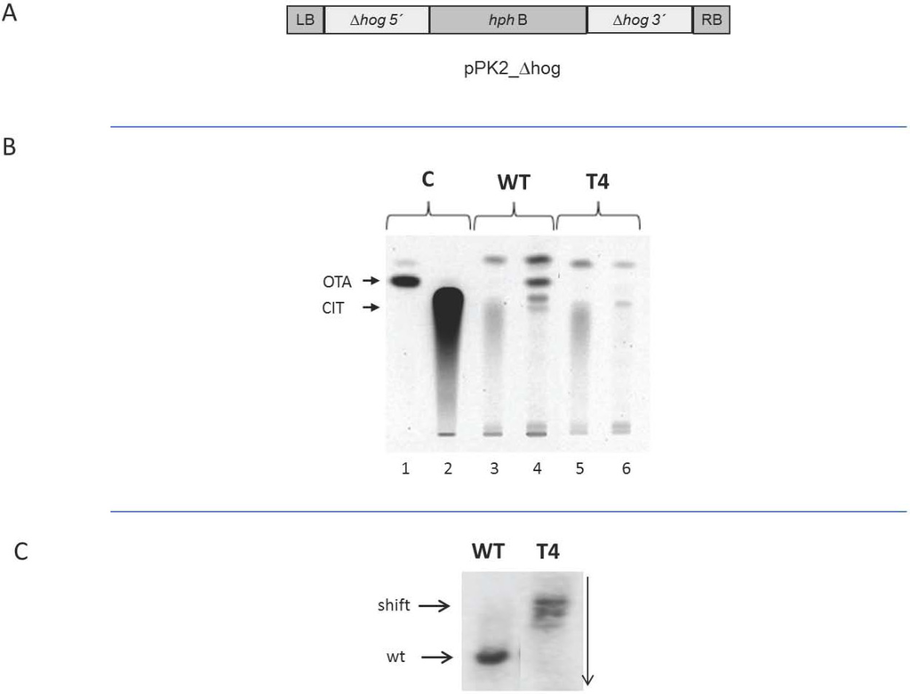 Toxins 05 01282 g005 1024