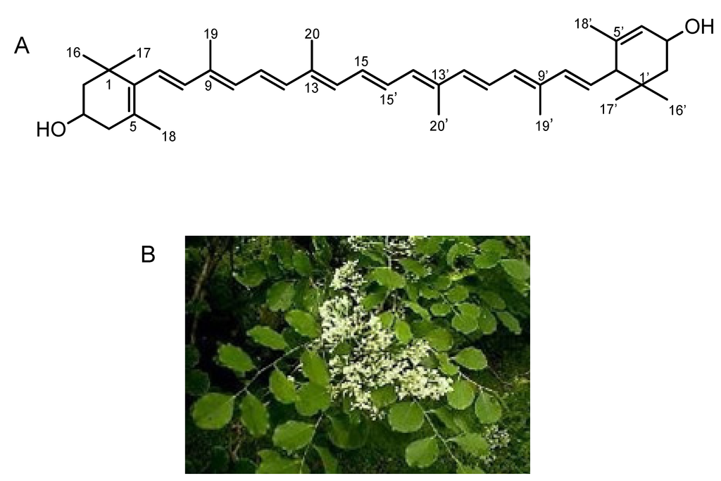 Toxins 05 01392 g003 1024