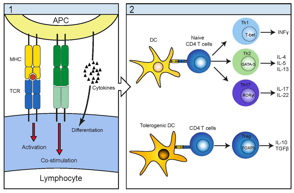 Toxins 05 01402 g001 1024