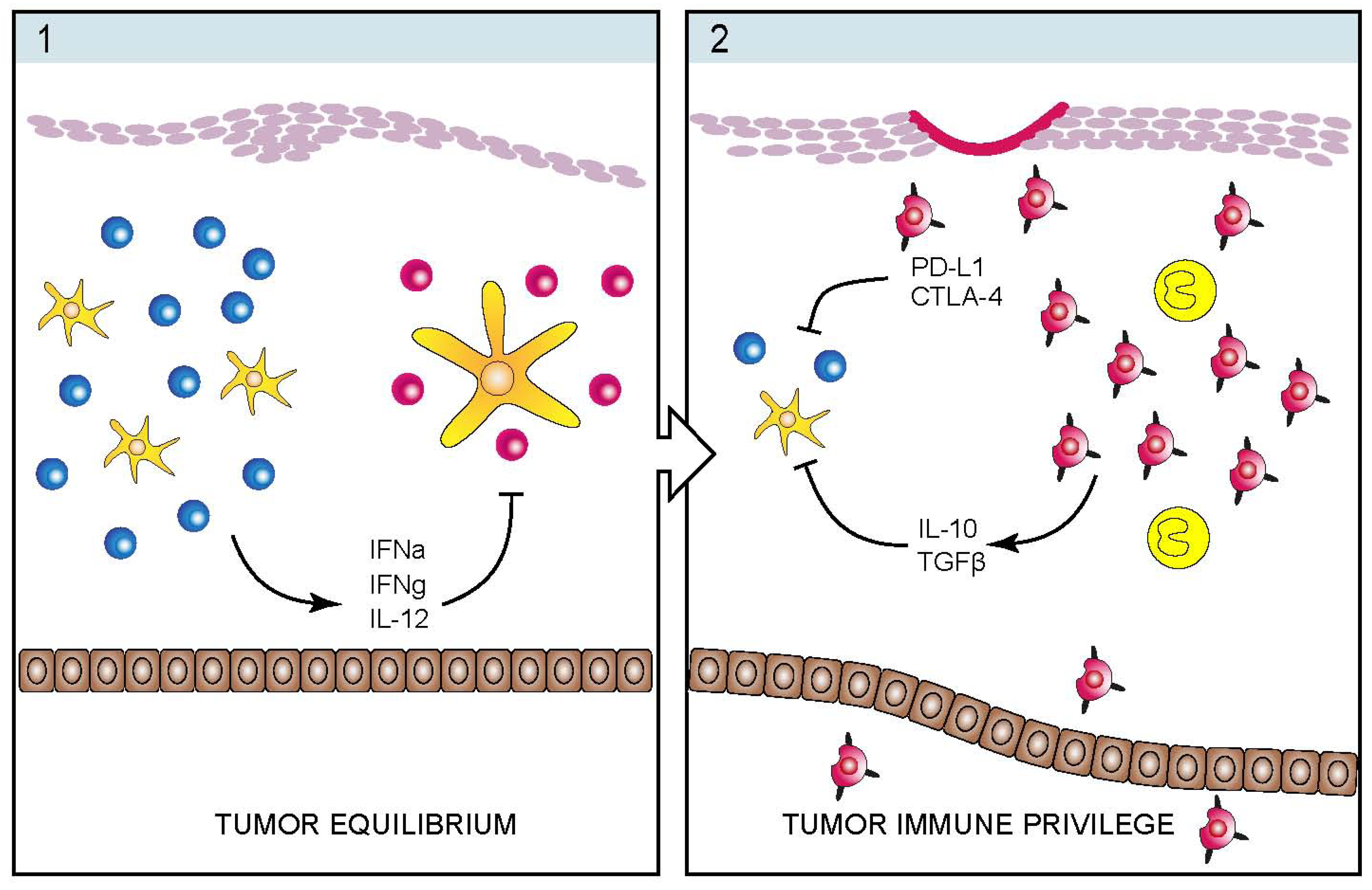 Toxins 05 01402 g002