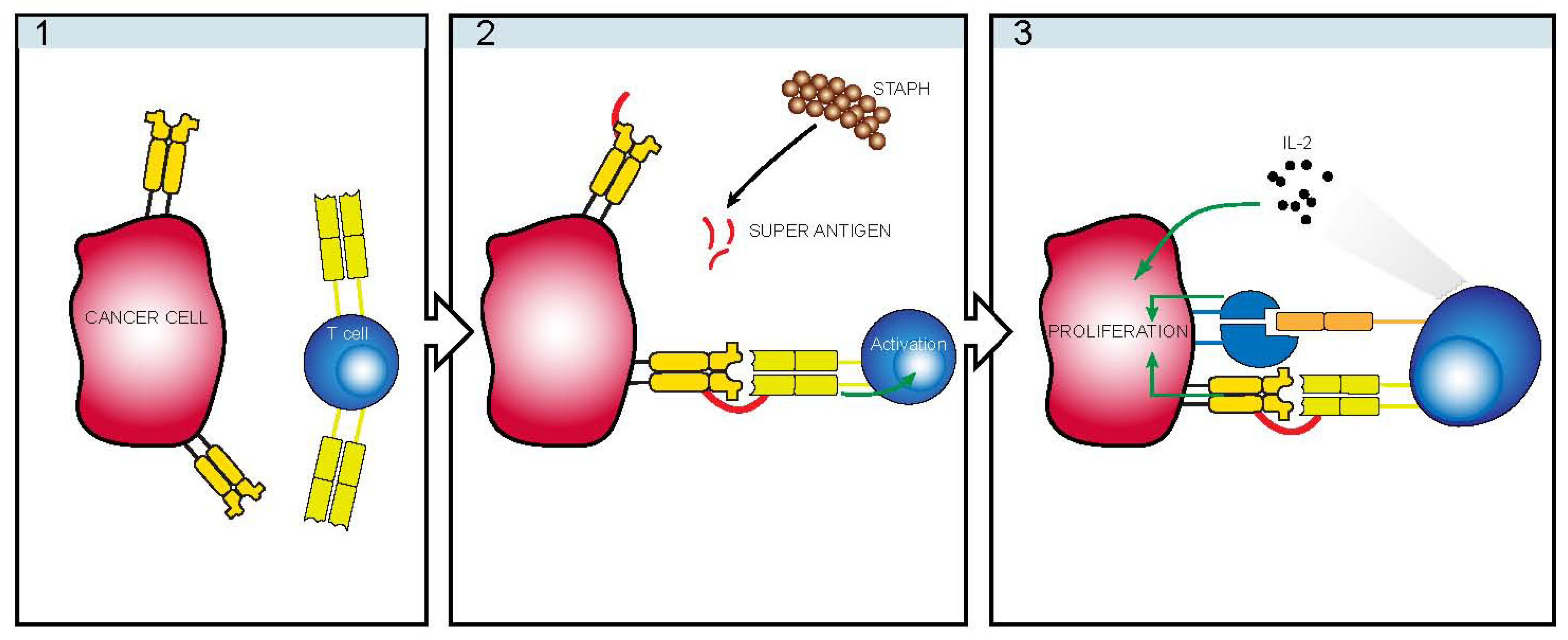 Toxins 05 01402 g003
