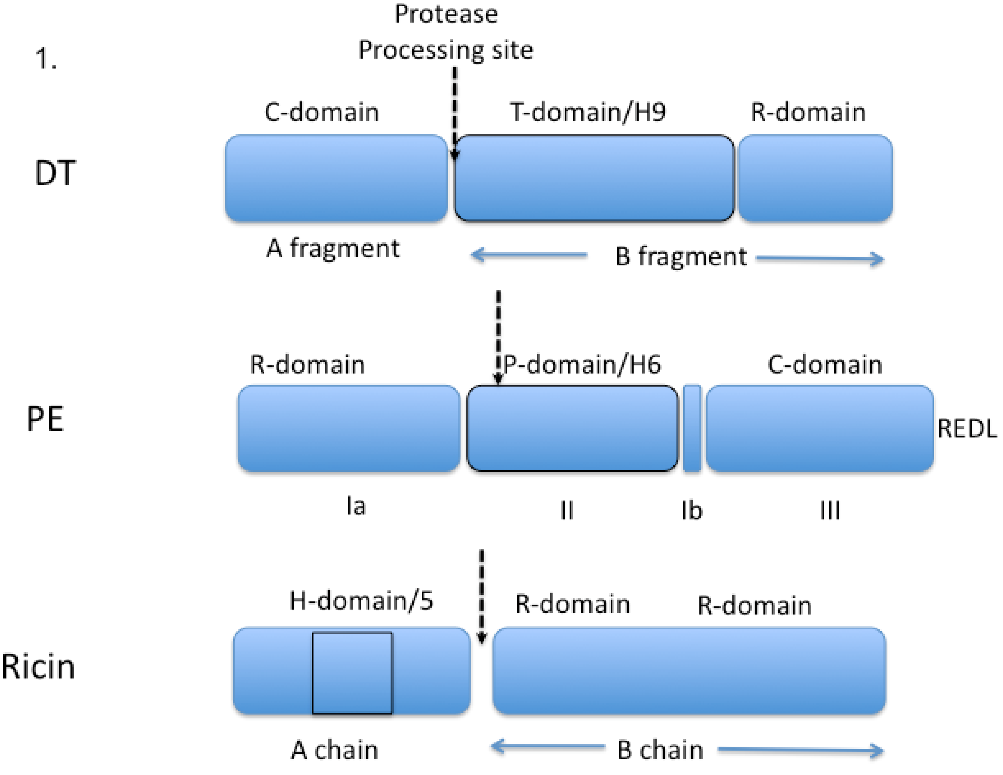Toxins 05 01486 g001