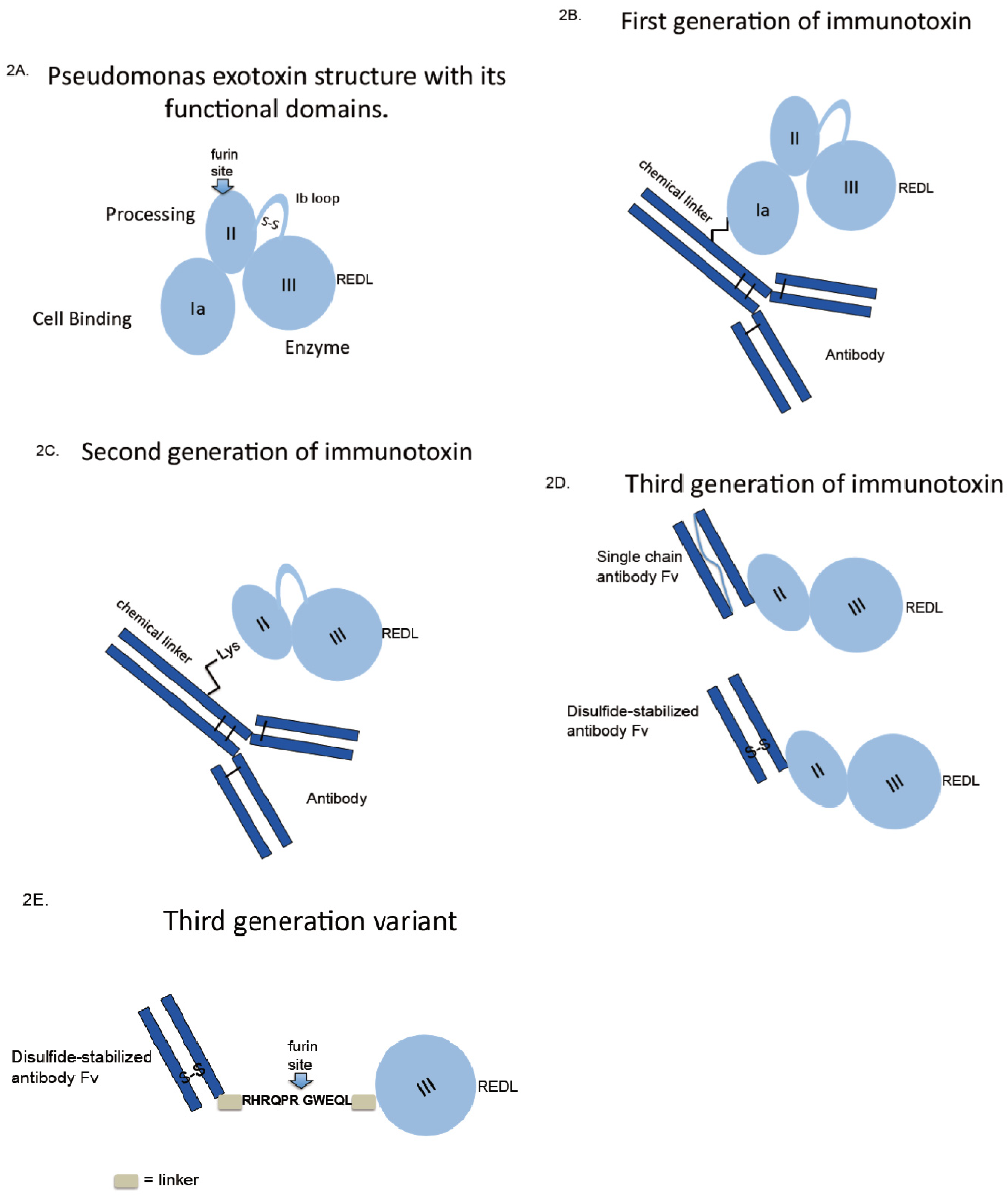 Toxins 05 01486 g002