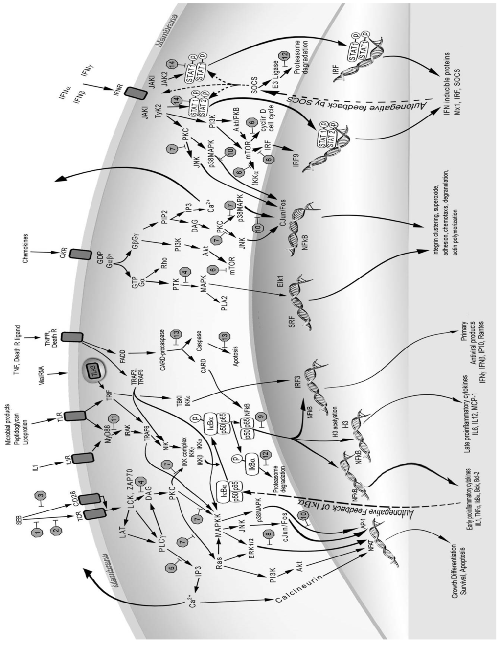 Toxins 05 01629 g001 1024
