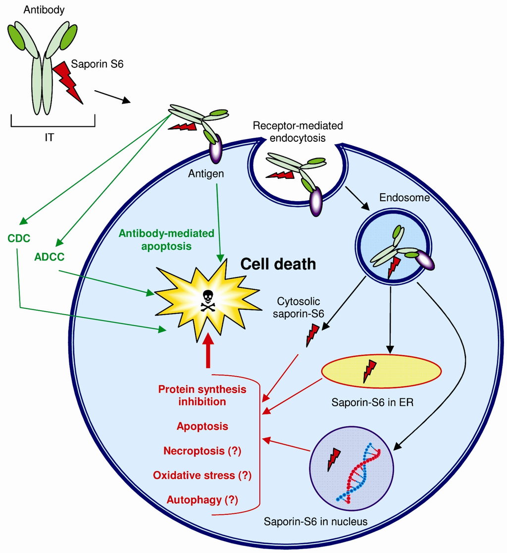 Toxins 05 01698 g003 1024