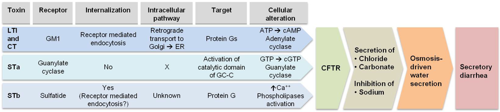 Toxins 05 02009 g002 1024