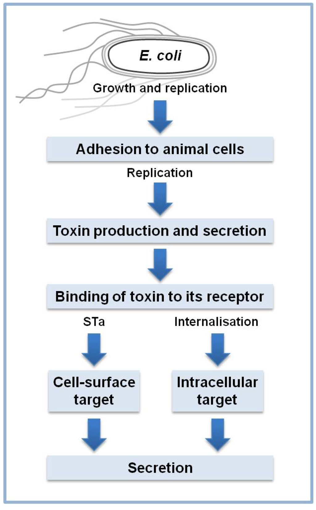 Toxins 05 02009 g003 1024