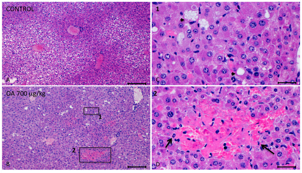 Toxins 05 02093 g001 1024