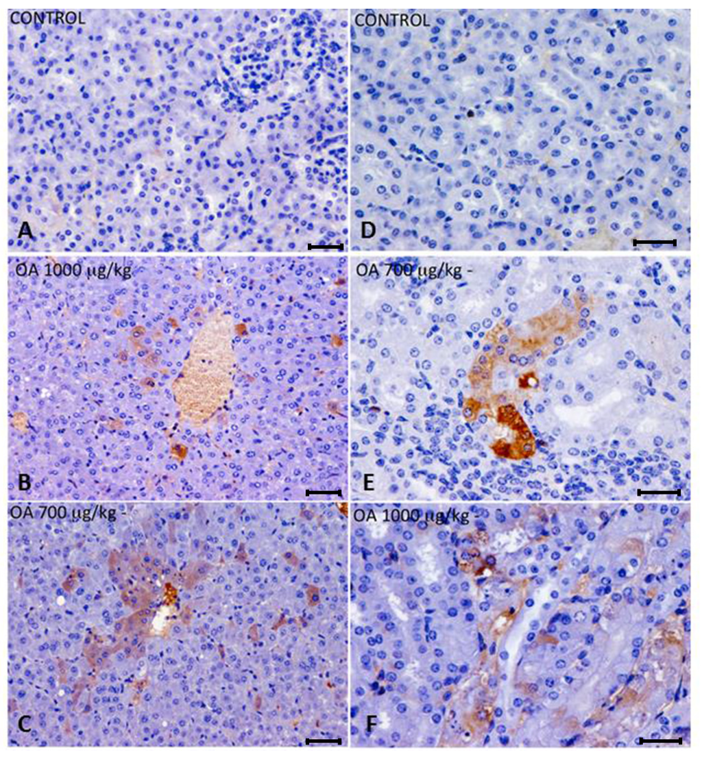 Toxins 05 02093 g002 1024
