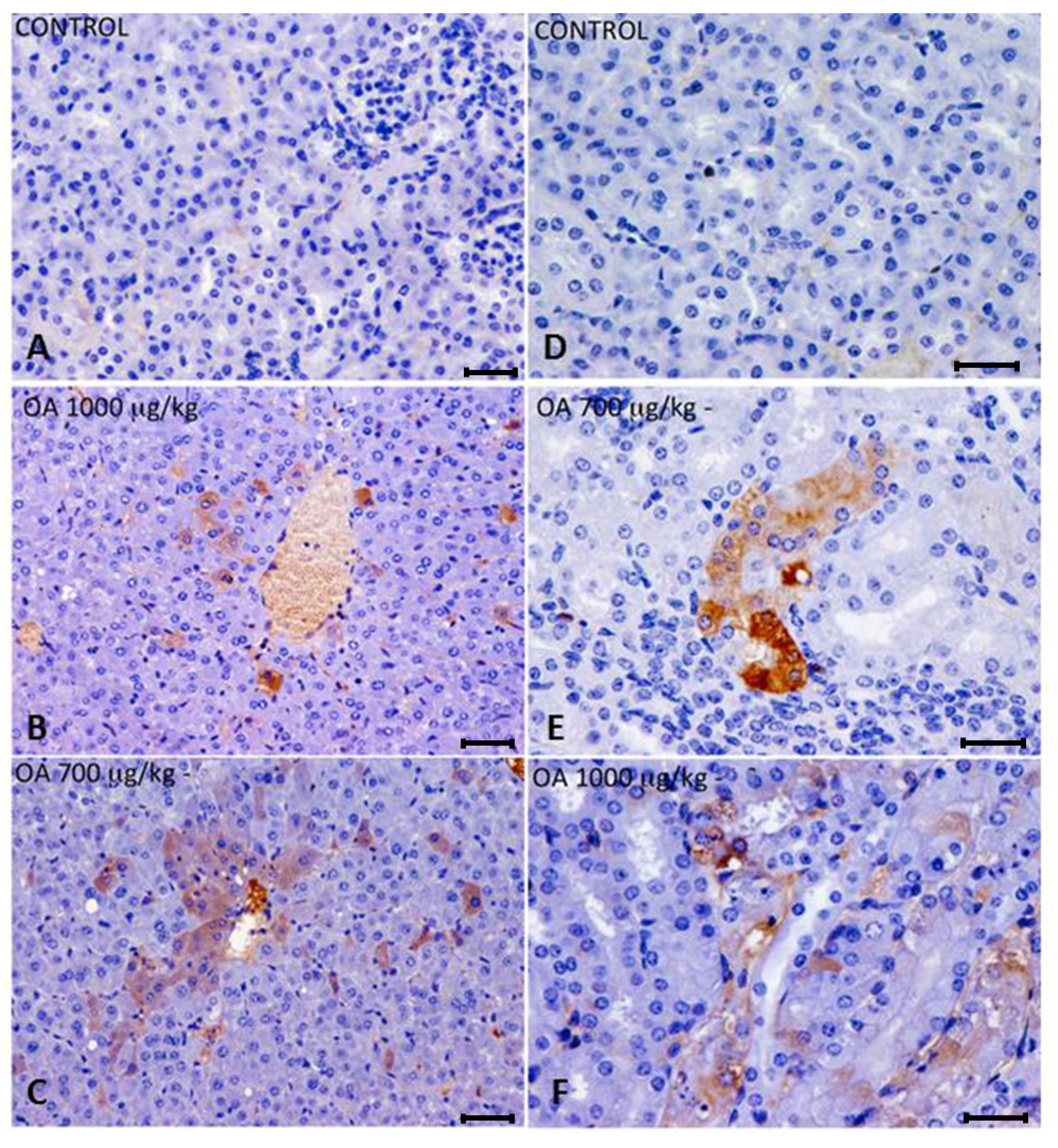 Toxins 05 02093 g002