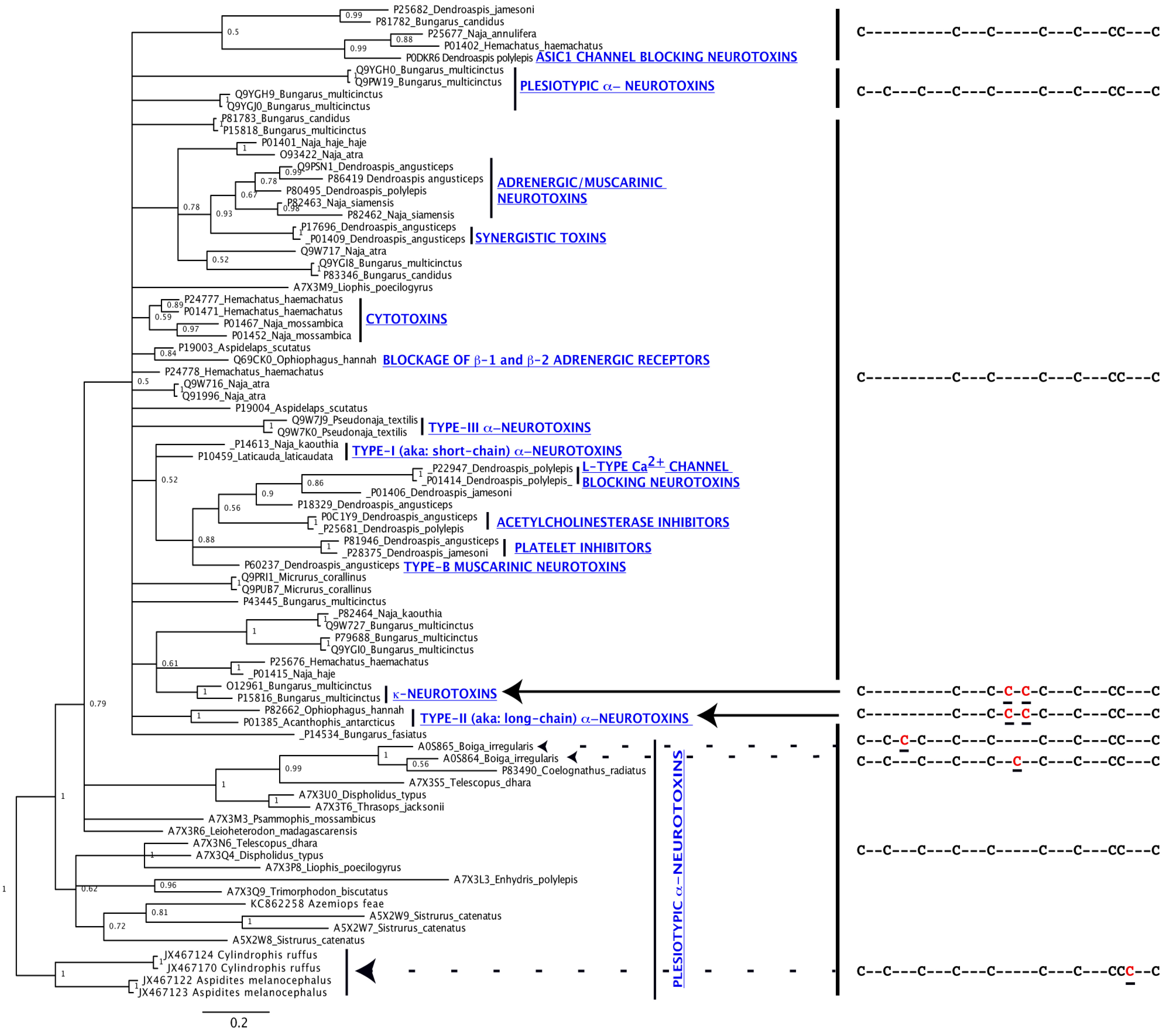 Toxins 05 02172 g001