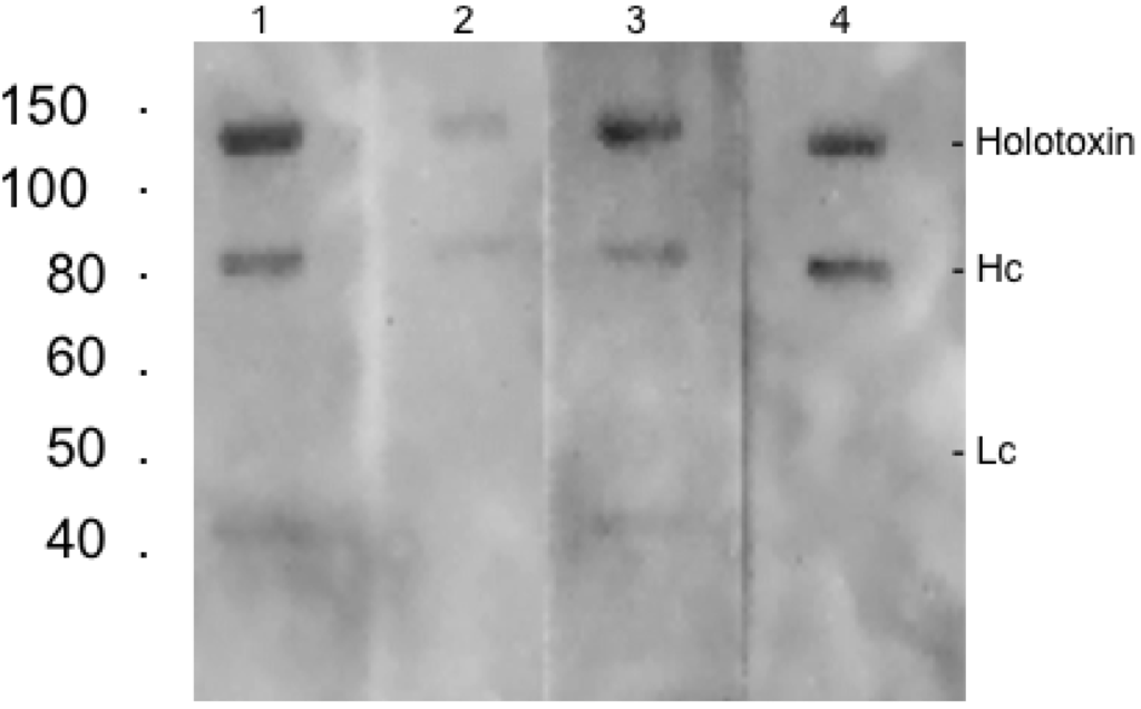 Toxins 05 02212 g005 1024