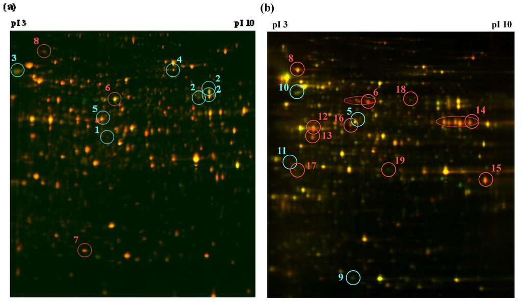 Toxins 05 02258 g001 1024