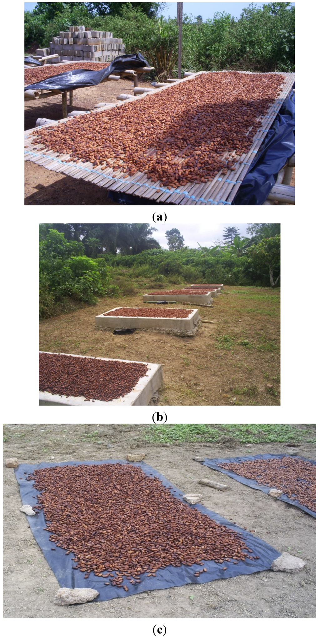 Toxins 05 02310 g005 1024