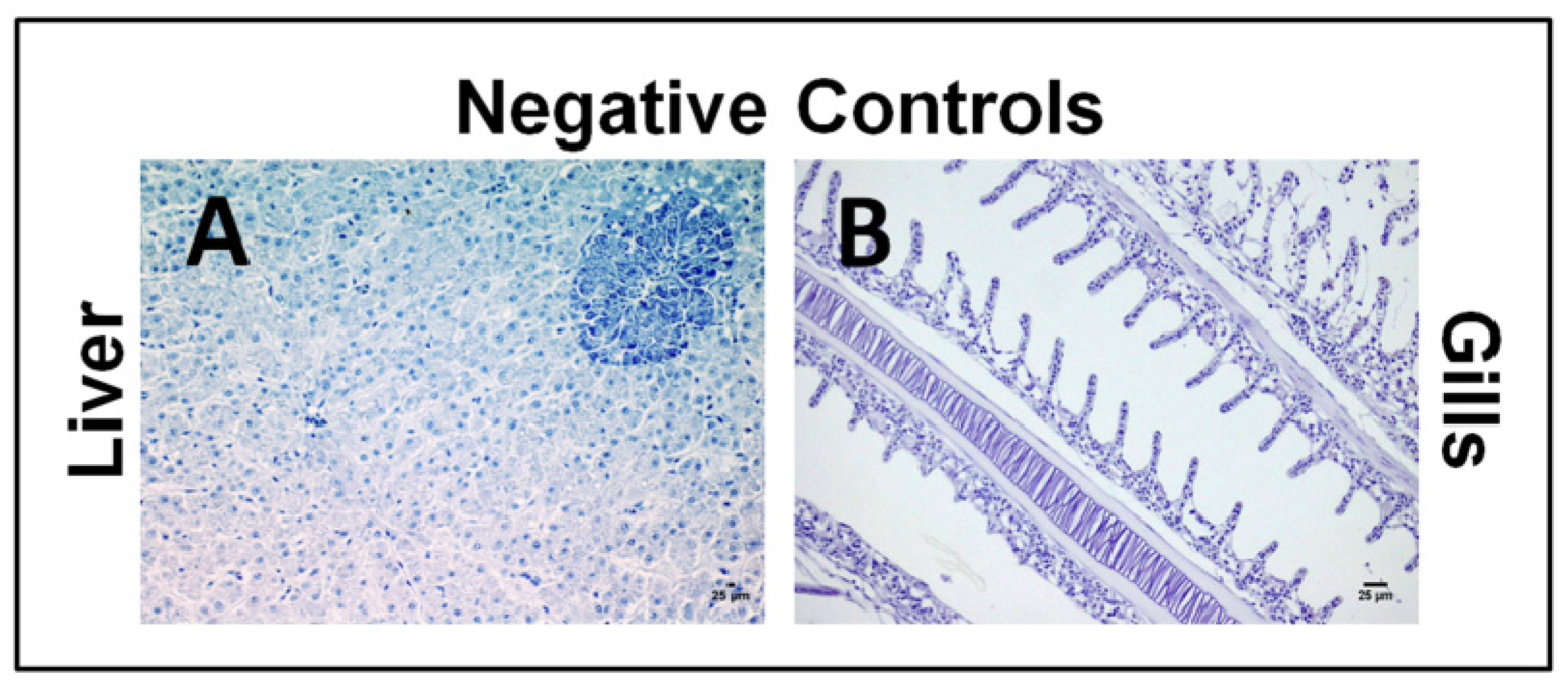 Toxins 06 00283 g001