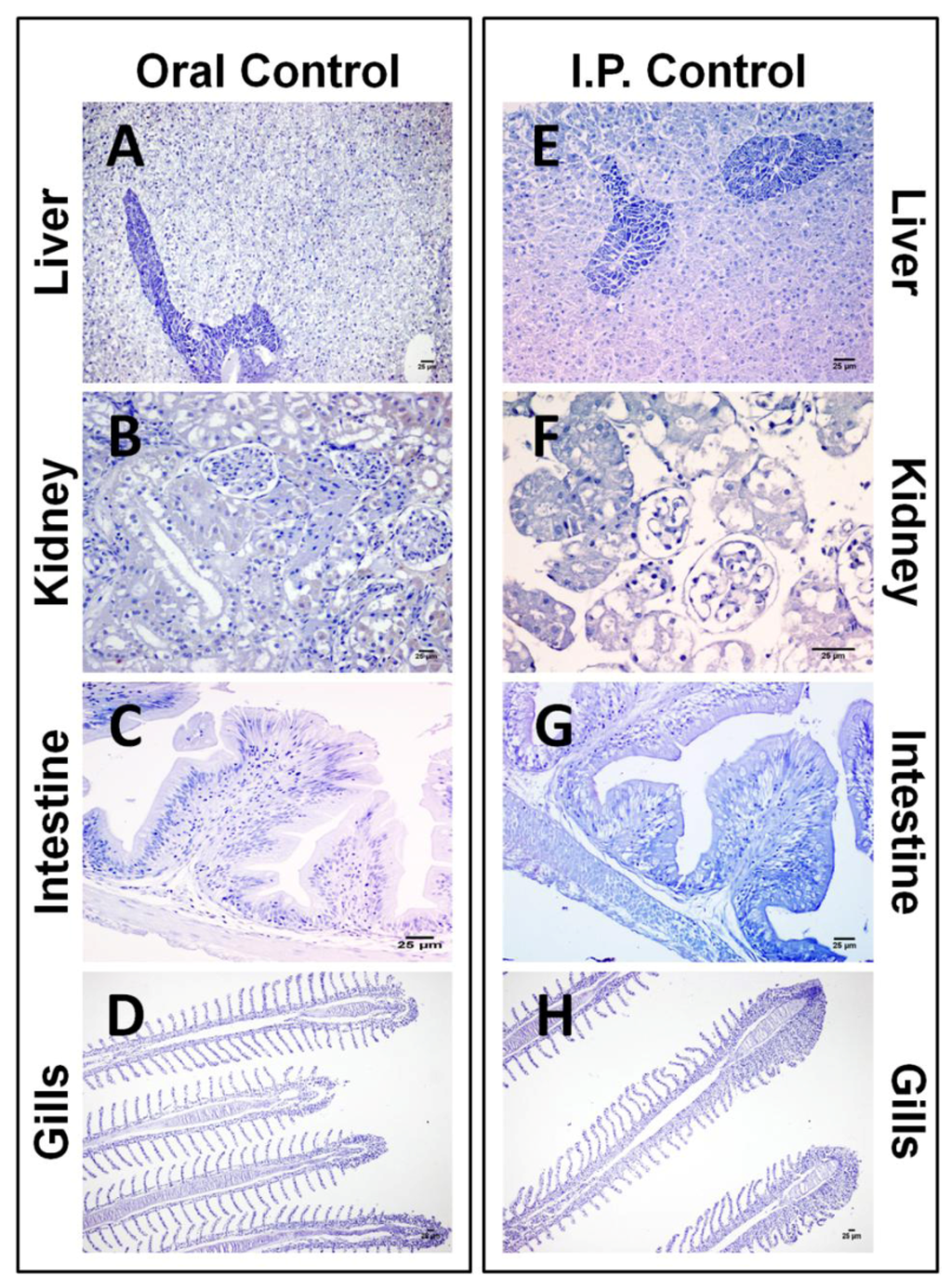 Toxins 06 00283 g002 1024