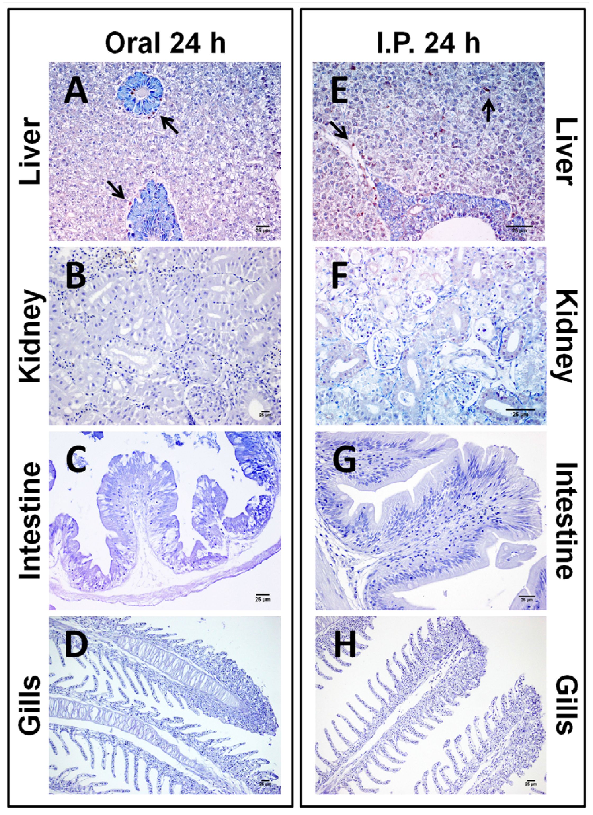 Toxins 06 00283 g003