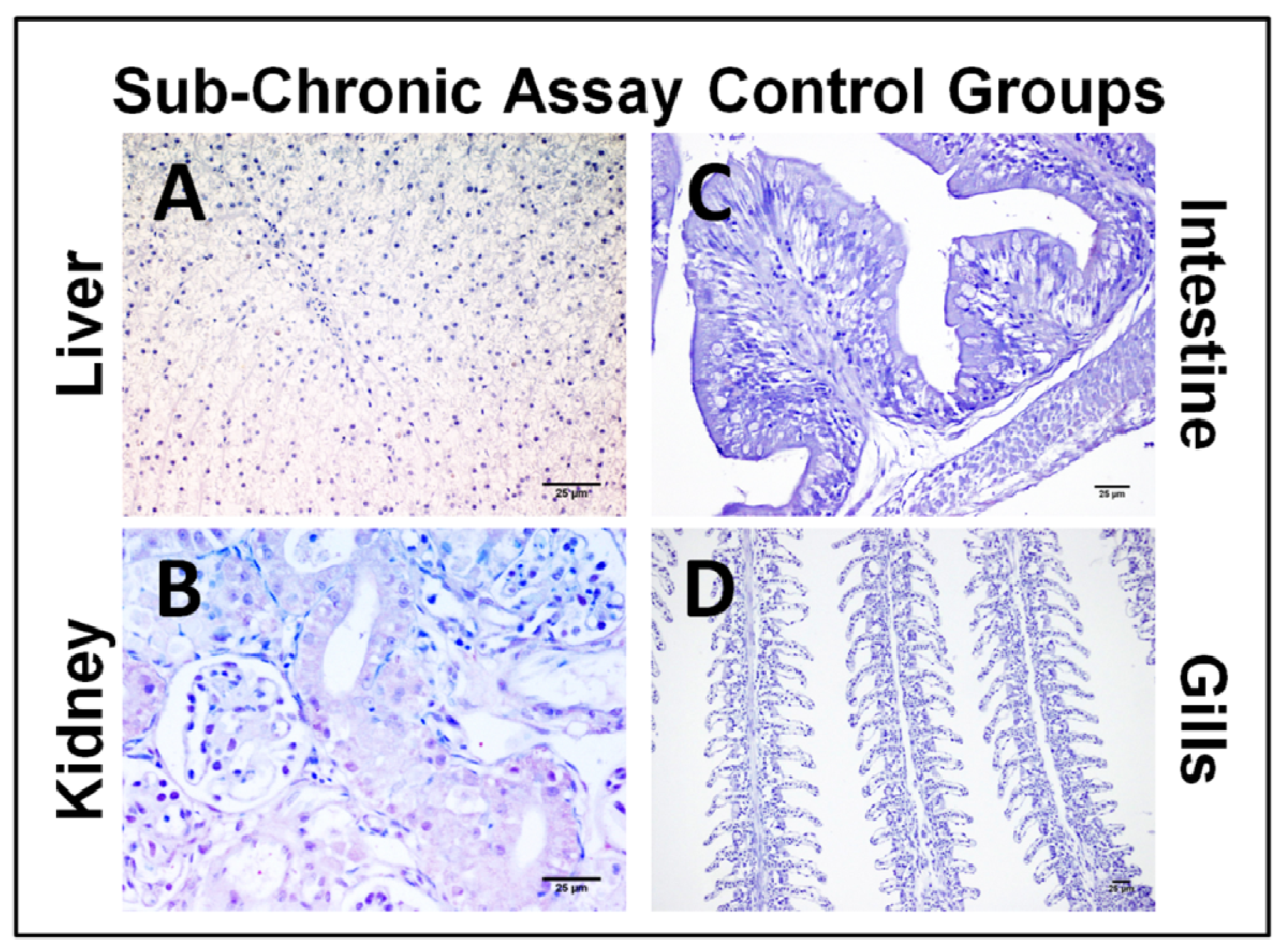 Toxins 06 00283 g005