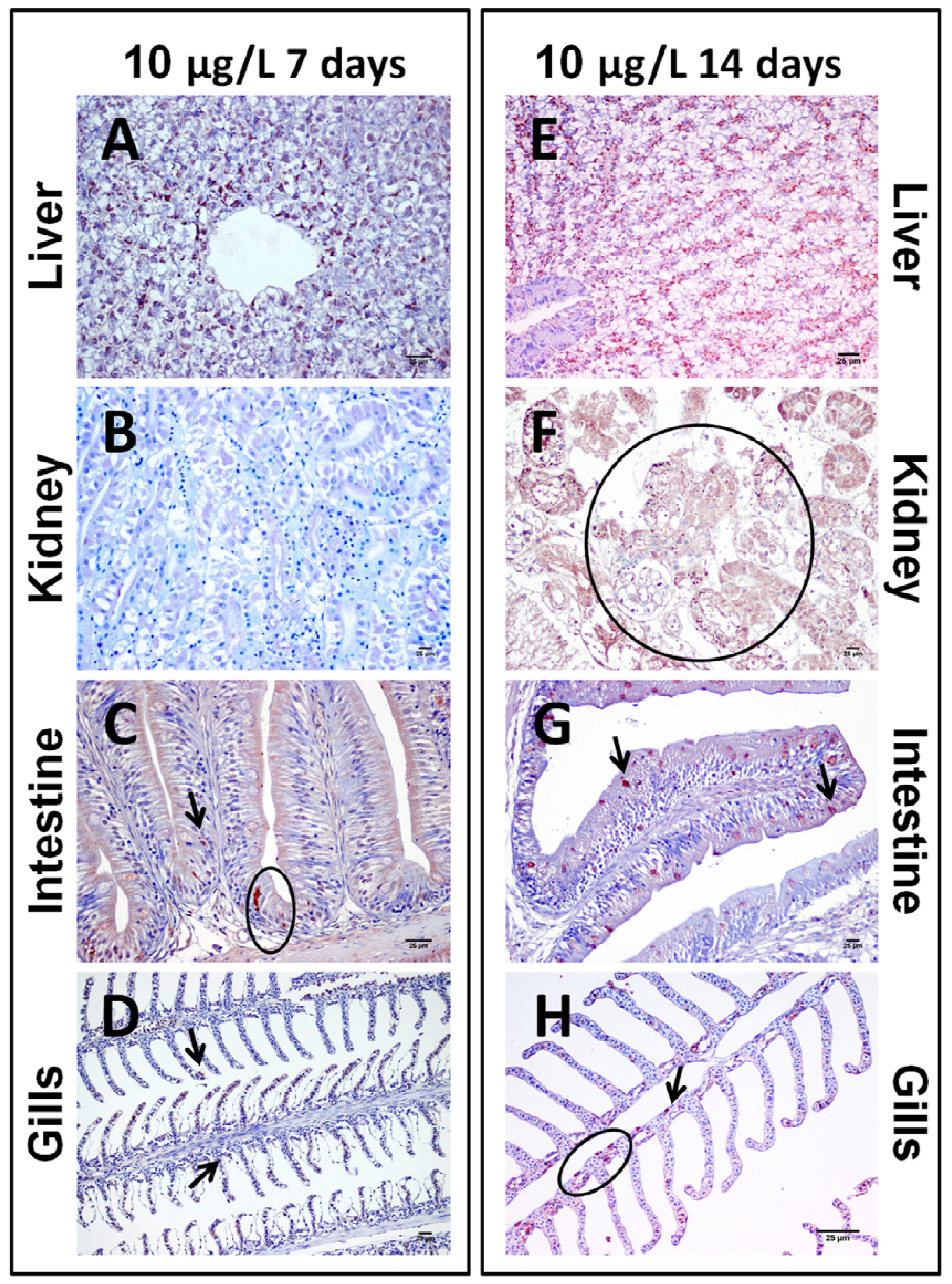Toxins 06 00283 g006