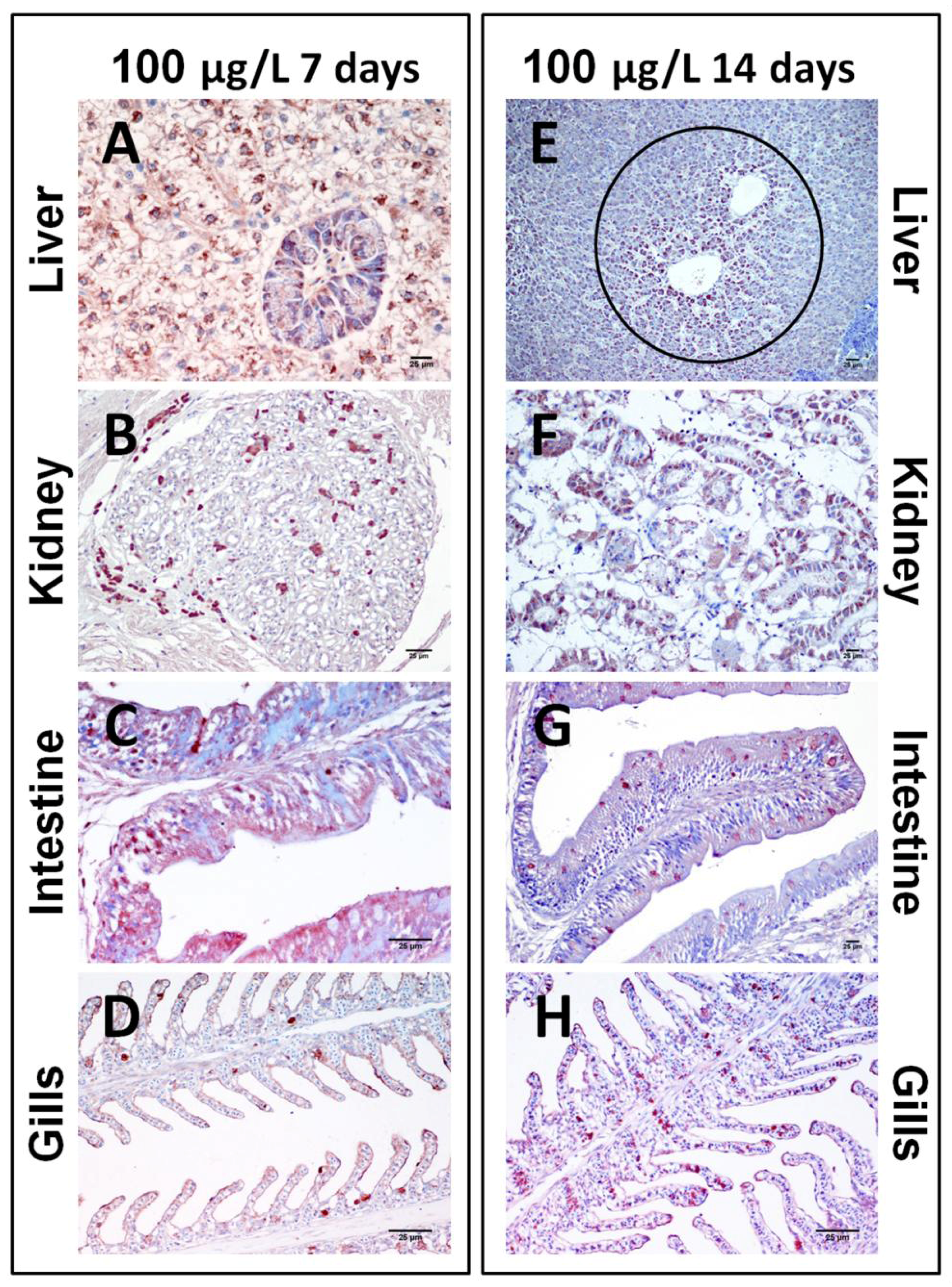 Toxins 06 00283 g007