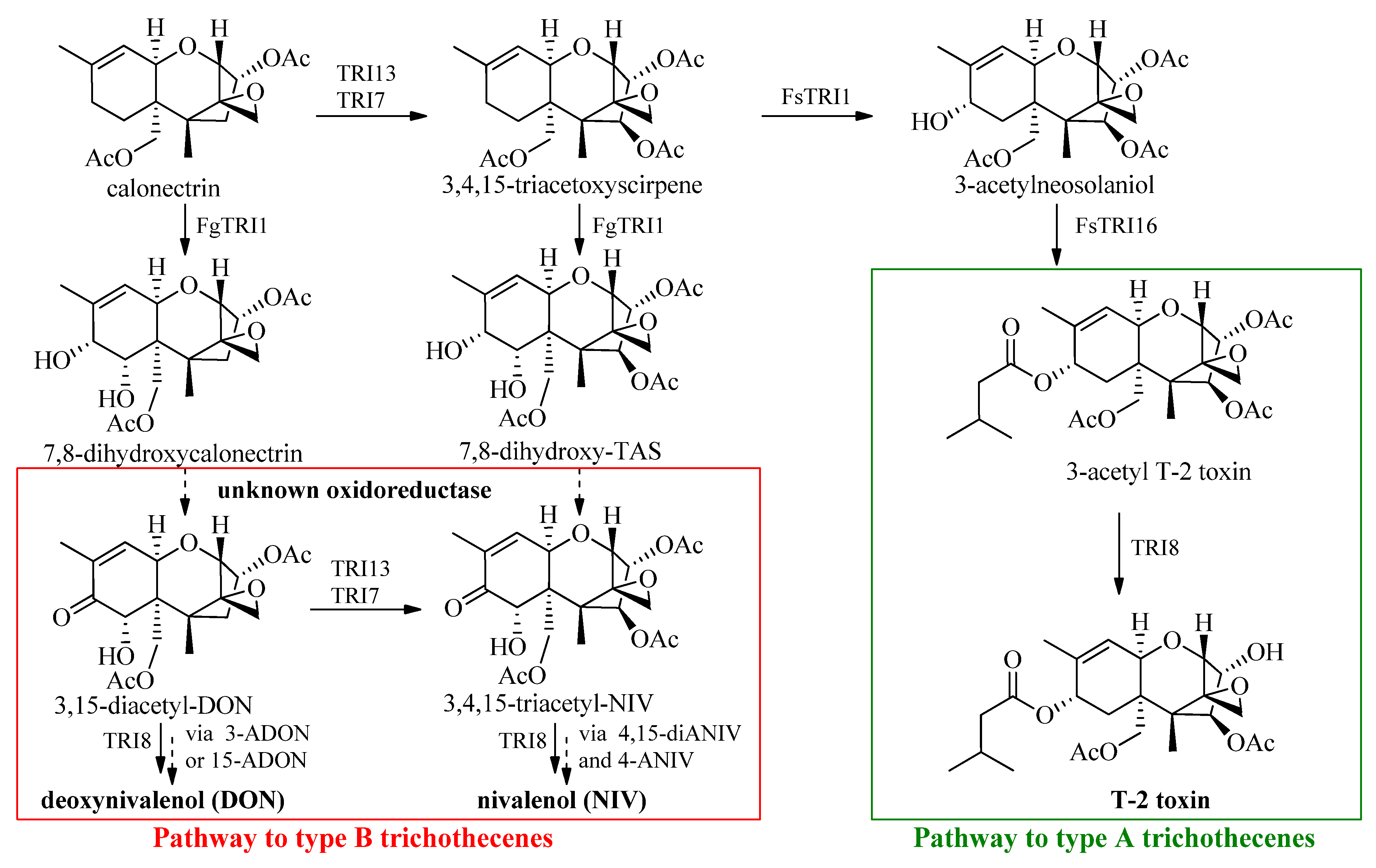 Toxins 06 00325 g002
