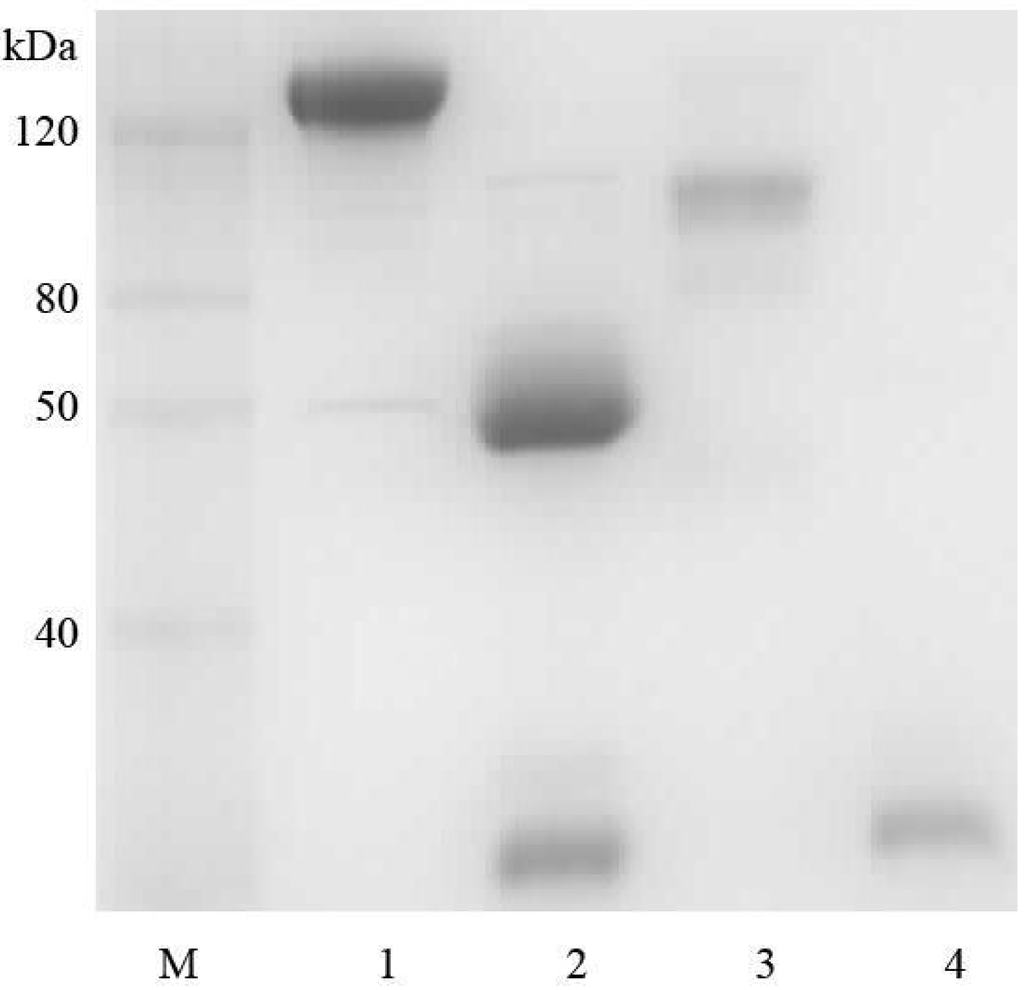 Toxins 06 00380 g001 1024