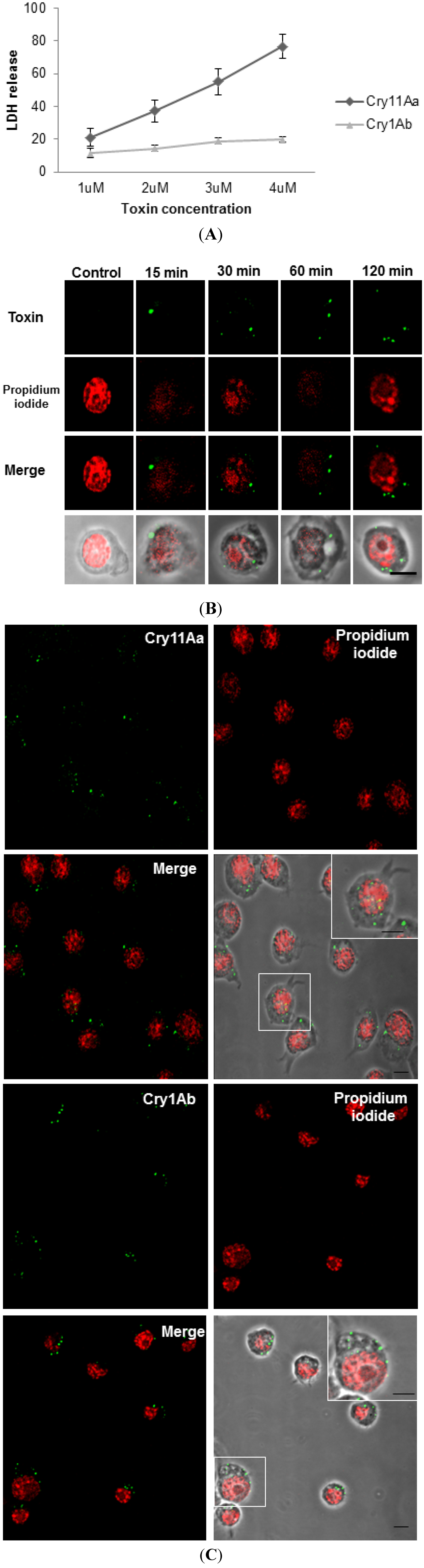 Toxins 06 00464 g001