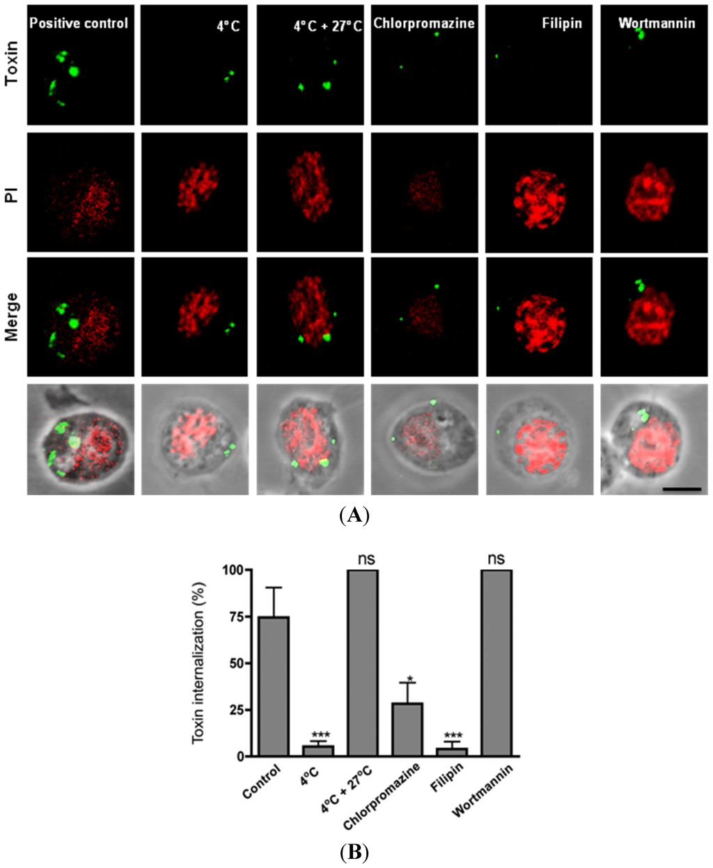 Toxins 06 00464 g002 1024