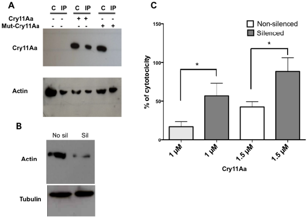 Toxins 06 00464 g007 1024