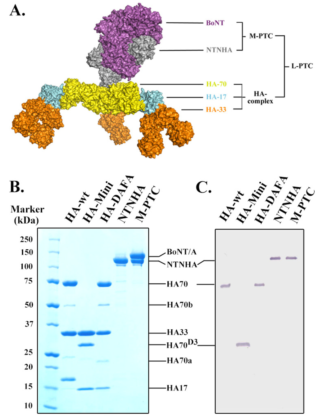 Toxins 06 00624 g001 1024