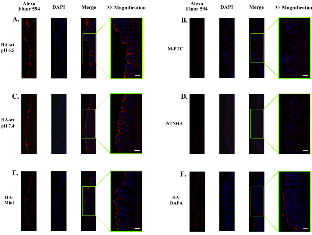 Toxins 06 00624 g002 1024