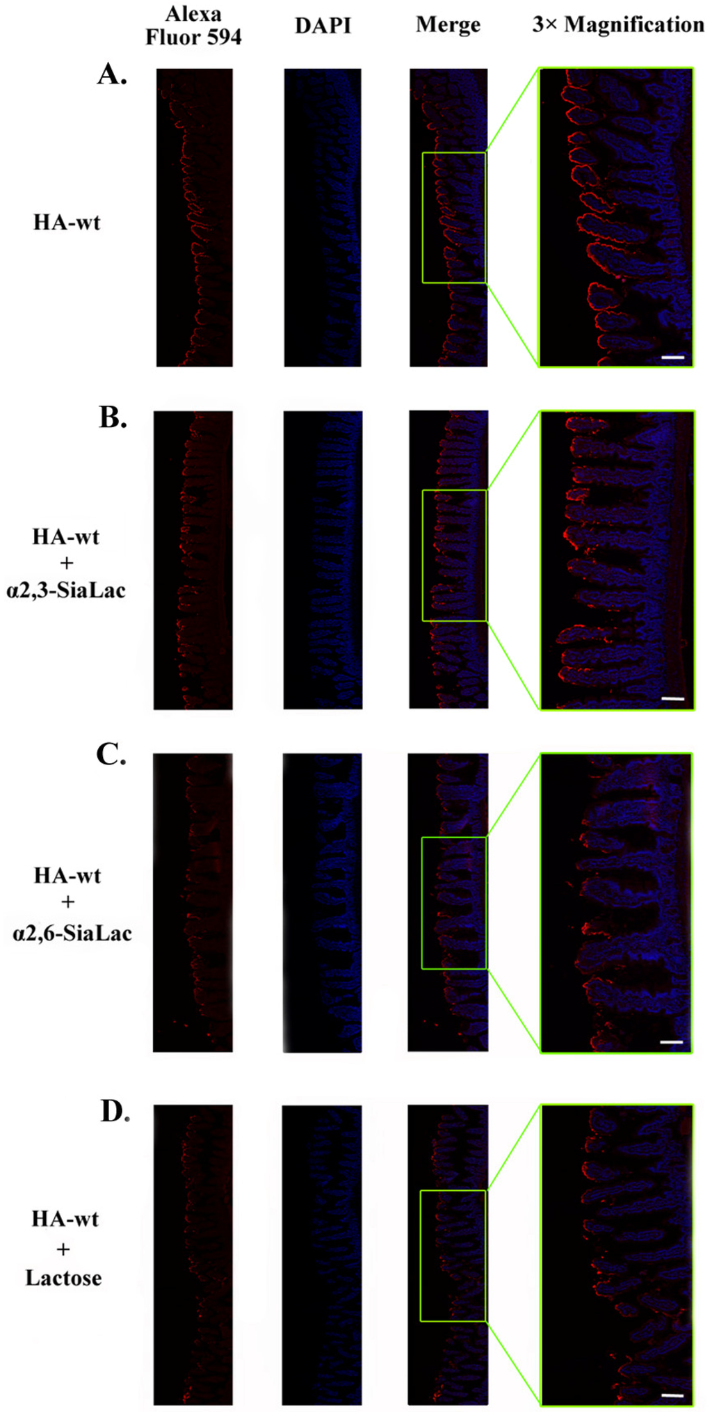 Toxins 06 00624 g003 1024