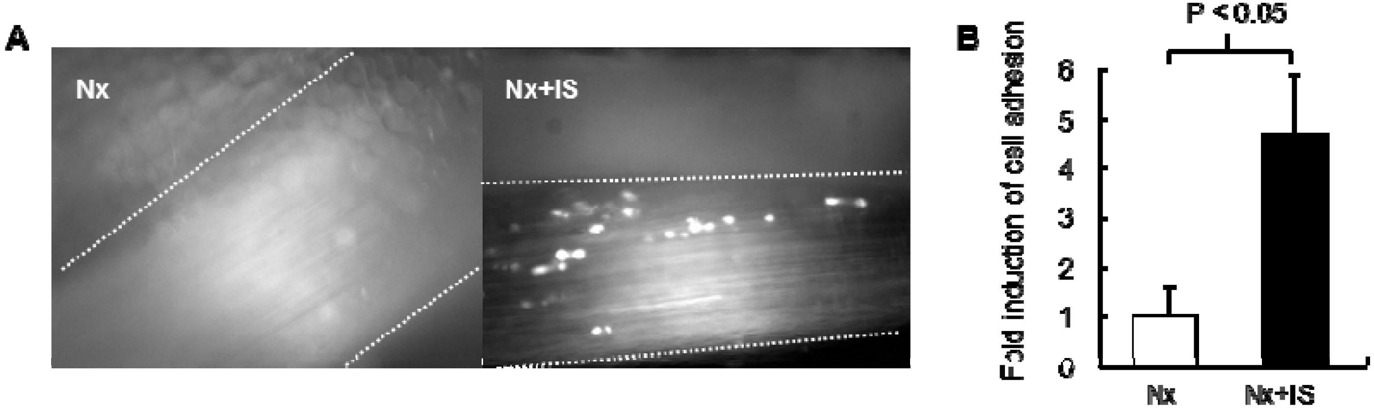 Toxins 06 00665 g001