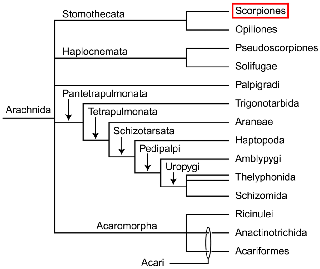 Toxins 06 00796 g001 1024