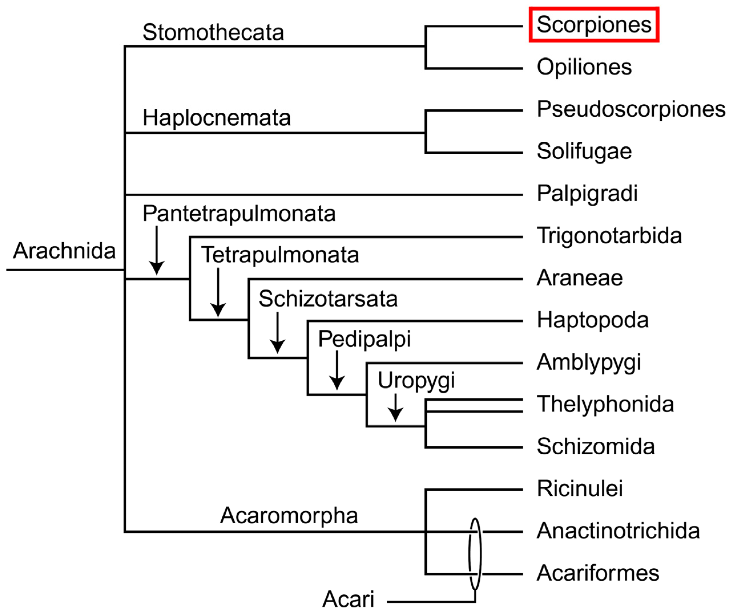 Toxins 06 00796 g001