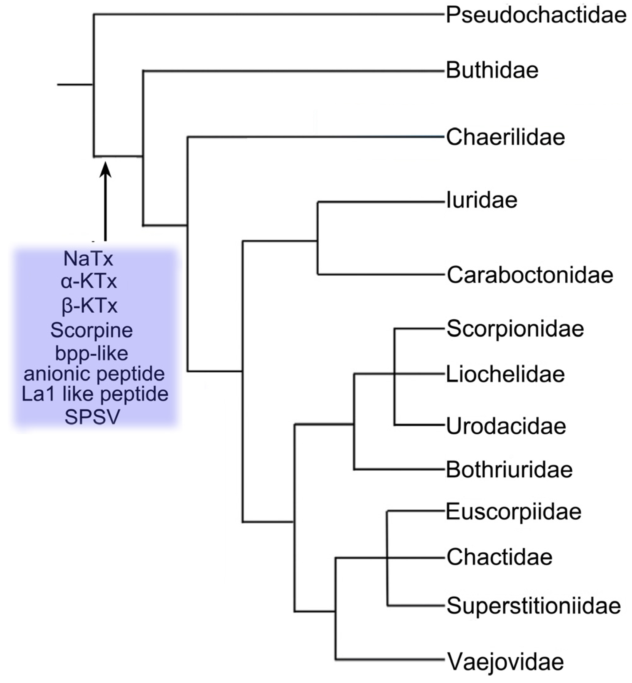 Toxins 06 00796 g002