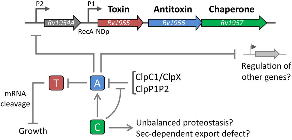 Toxins 06 01002 g002 1024