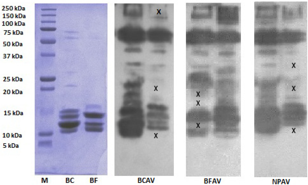 Toxins 06 01036 g008 1024