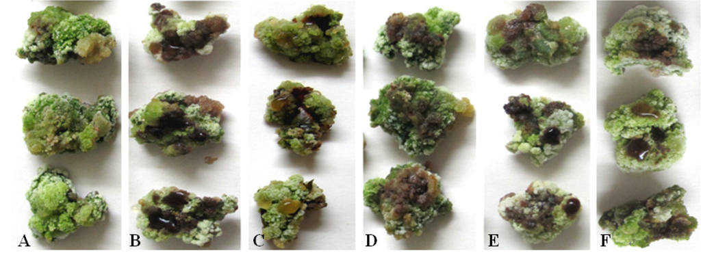 Toxins 06 01139 g003 1024