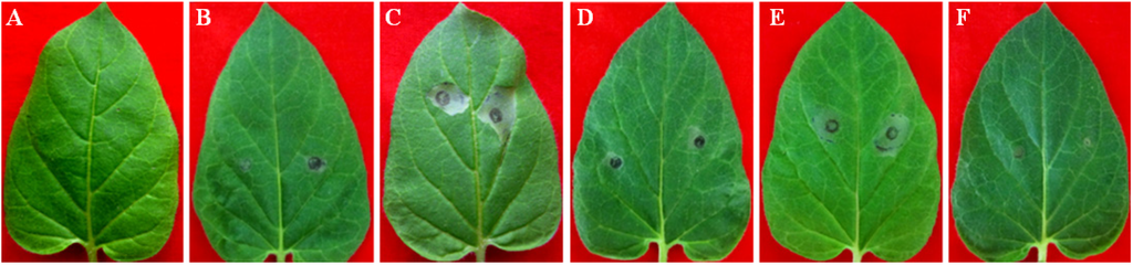 Toxins 06 01139 g005 1024