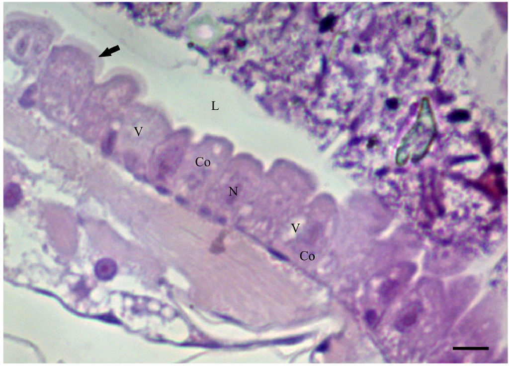 Toxins 06 01169 g001 1024