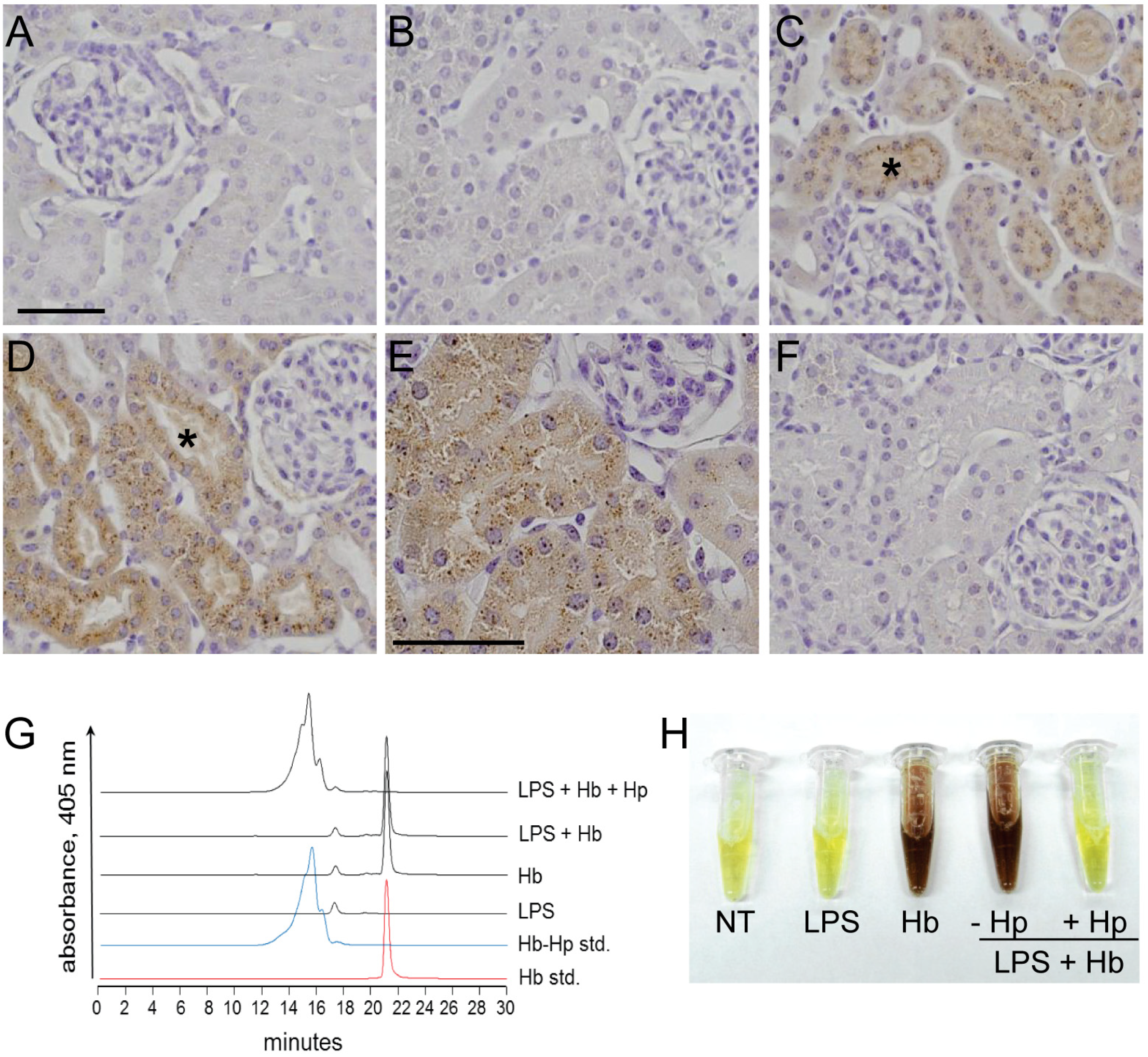Toxins 06 01244 g001