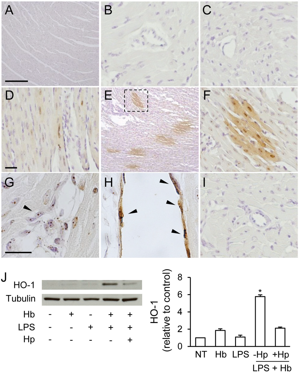 Toxins 06 01244 g002 1024