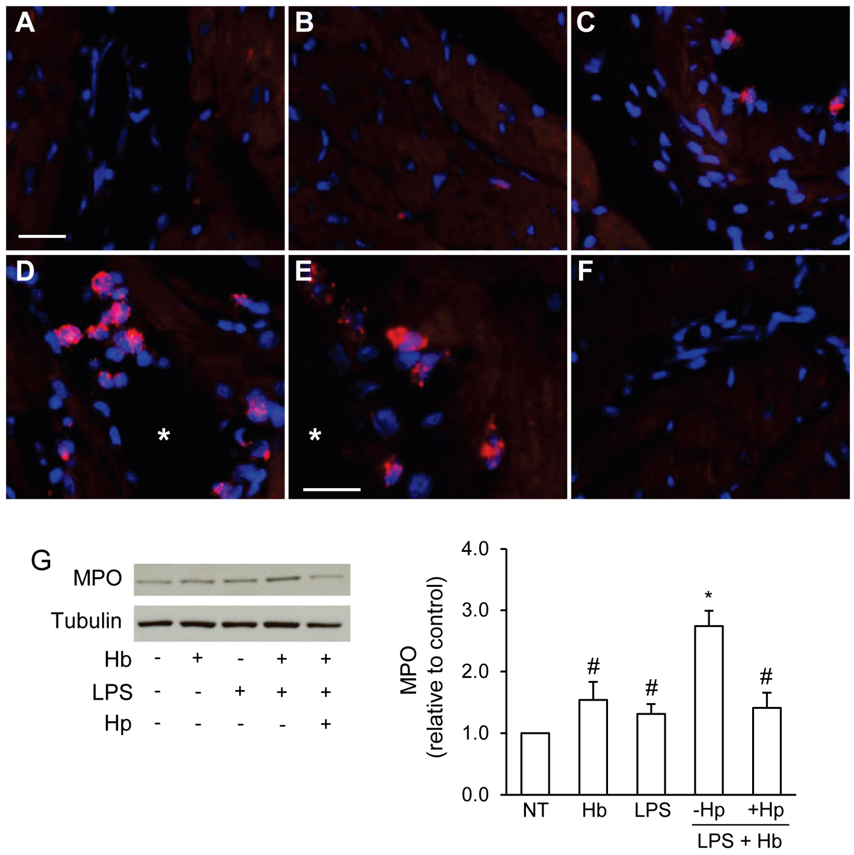 Toxins 06 01244 g004