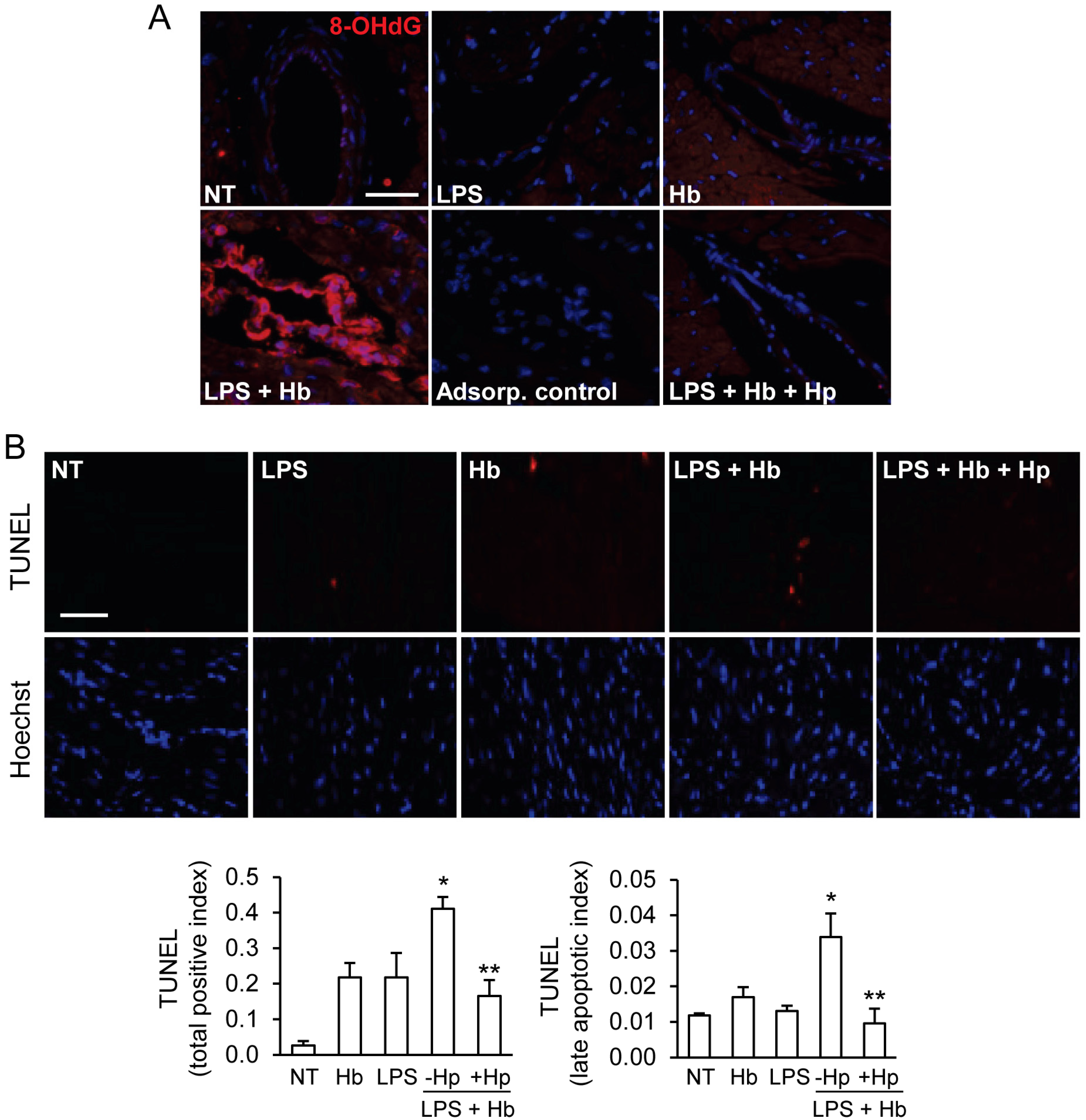 Toxins 06 01244 g005
