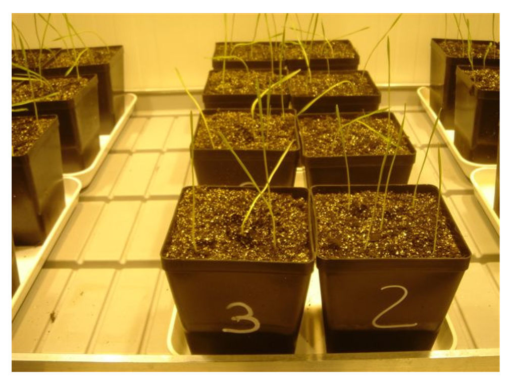 Toxins 06 01308 g005 1024