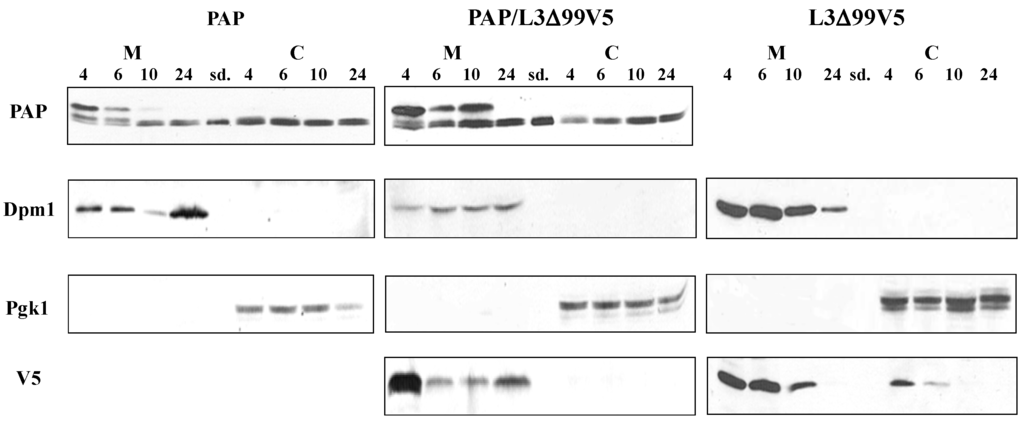Toxins 06 01349 g008 1024