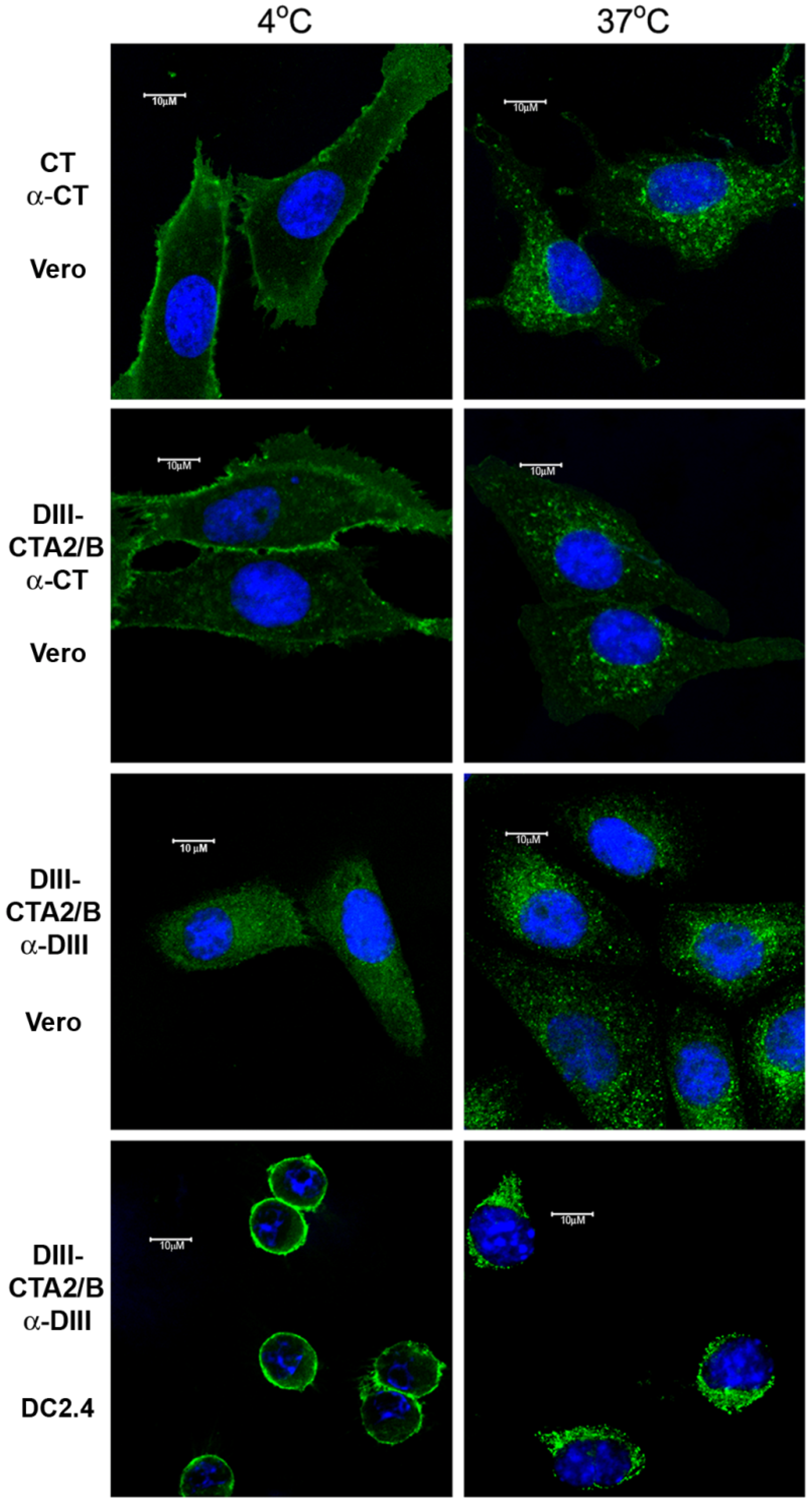 Toxins 06 01397 g002