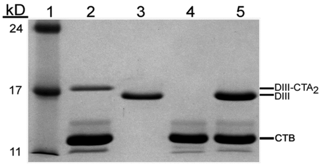 Toxins 06 01397 g003 1024
