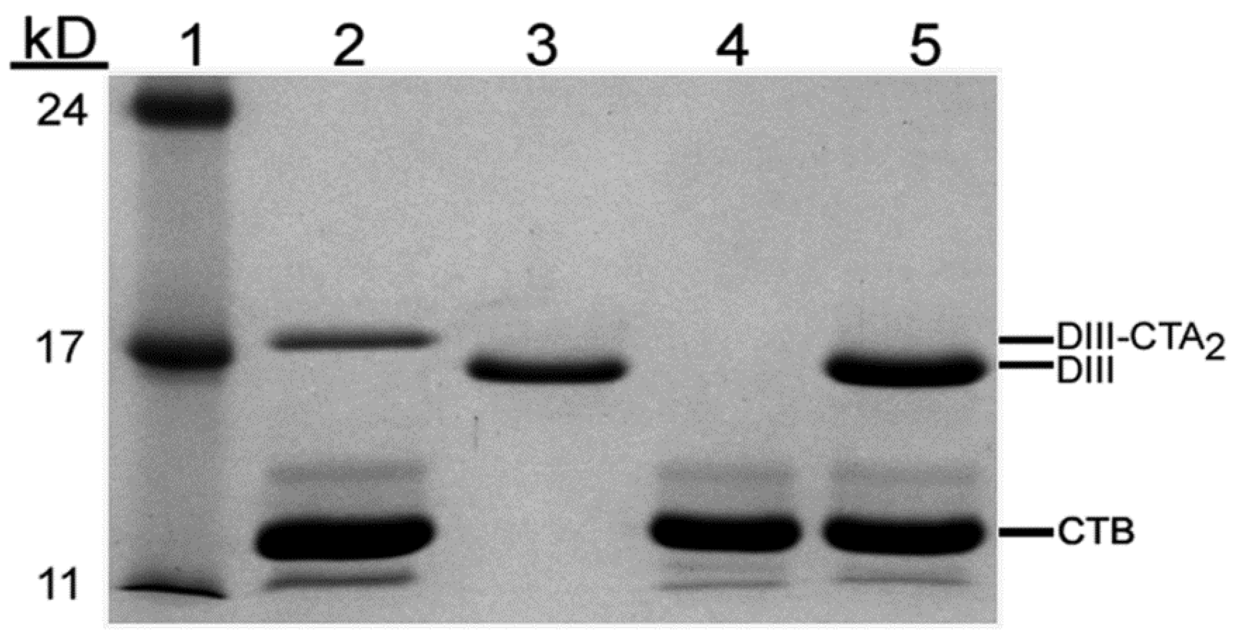 Toxins 06 01397 g003
